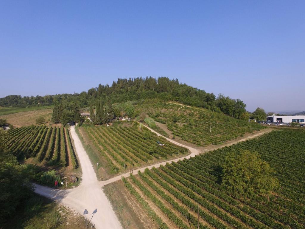 Agriturismo Lucciano San Casciano in Val di Pesa Bagian luar foto