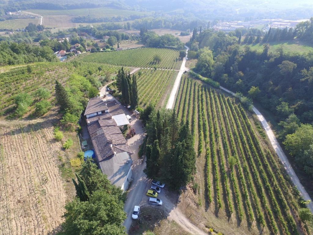 Agriturismo Lucciano San Casciano in Val di Pesa Bagian luar foto