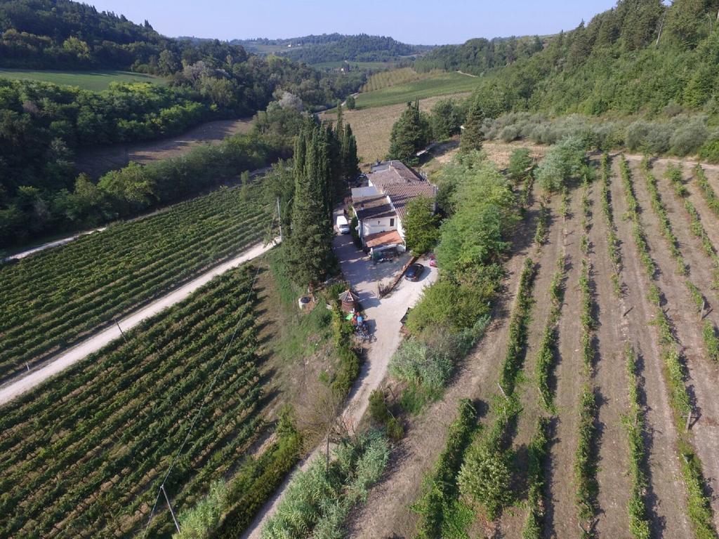 Agriturismo Lucciano San Casciano in Val di Pesa Bagian luar foto