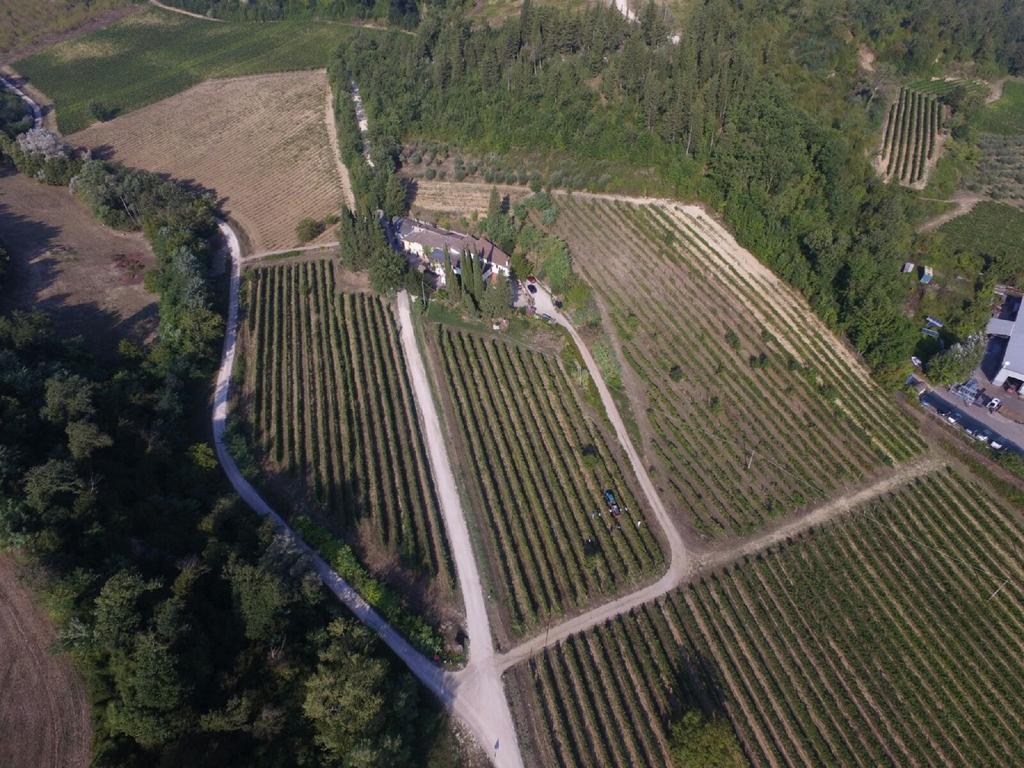 Agriturismo Lucciano San Casciano in Val di Pesa Bagian luar foto